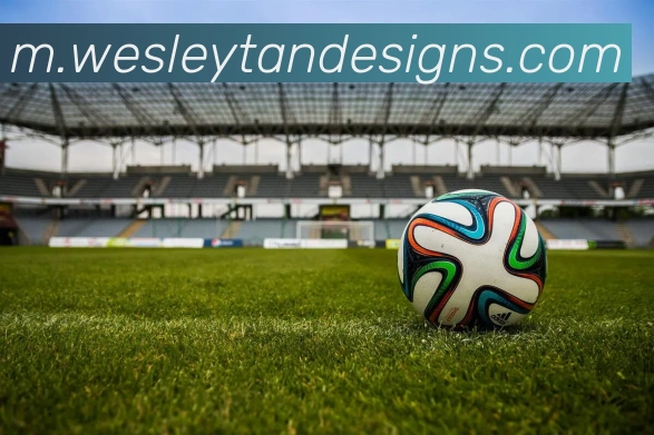 App 展示图